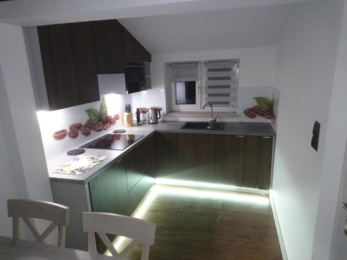 Apartament Elbrus Czyrna Szczyrk Wypozyczalnia Rowerow E-Bike Czyrna Szkola Narciarska & Wypozyczalnia Ski Serwis Εξωτερικό φωτογραφία