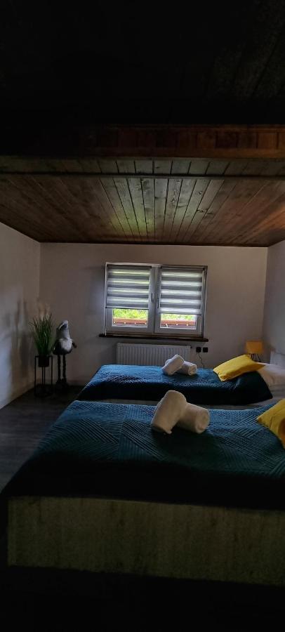 Apartament Elbrus Czyrna Szczyrk Wypozyczalnia Rowerow E-Bike Czyrna Szkola Narciarska & Wypozyczalnia Ski Serwis Εξωτερικό φωτογραφία
