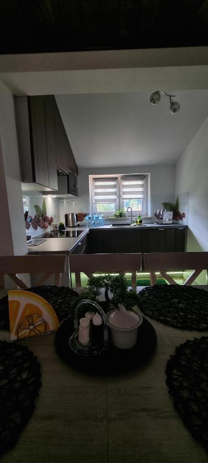 Apartament Elbrus Czyrna Szczyrk Wypozyczalnia Rowerow E-Bike Czyrna Szkola Narciarska & Wypozyczalnia Ski Serwis Εξωτερικό φωτογραφία